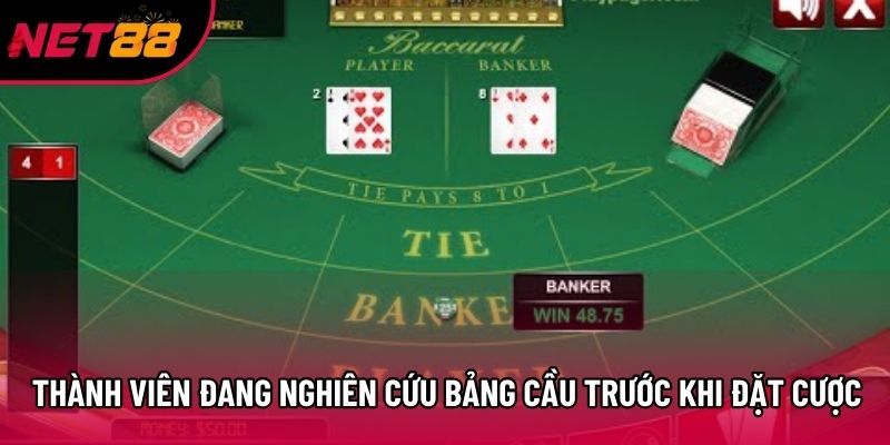 Thành viên đang nghiên cứu bảng cầu trước khi đặt cược Thành viên đang nghiên cứu bảng cầu trước khi đặt cược