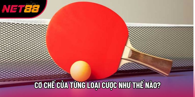 Cơ chế của từng loại cược như thế nào? Cơ chế của từng loại cược như thế nào?