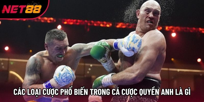 Các loại cược phổ biến trong cá cược quyền anh là gì Các loại cược phổ biến trong cá cược quyền anh là gì