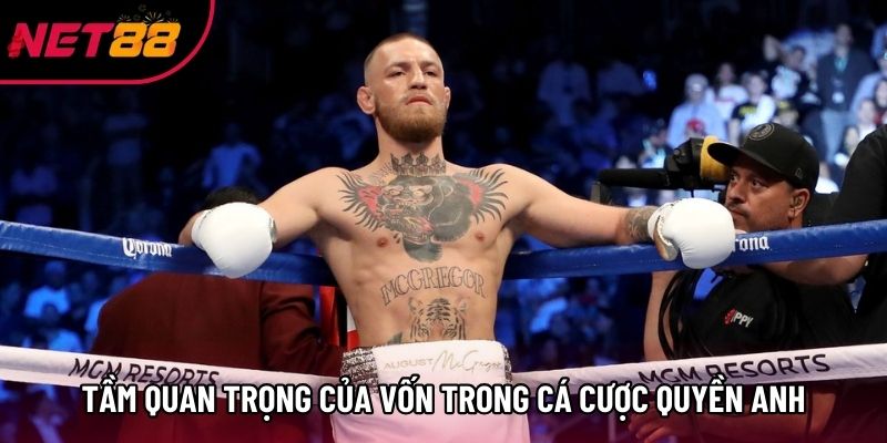 Tầm quan trọng của vốn trong cá cược quyền anh Tầm quan trọng của vốn trong cá cược quyền anh