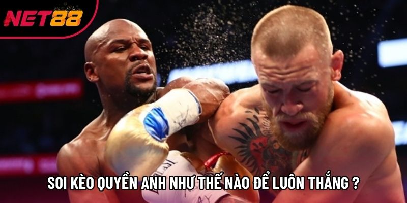 Soi kèo quyền anh như thế nào để luôn thắng? Soi kèo quyền anh như thế nào để luôn thắng?