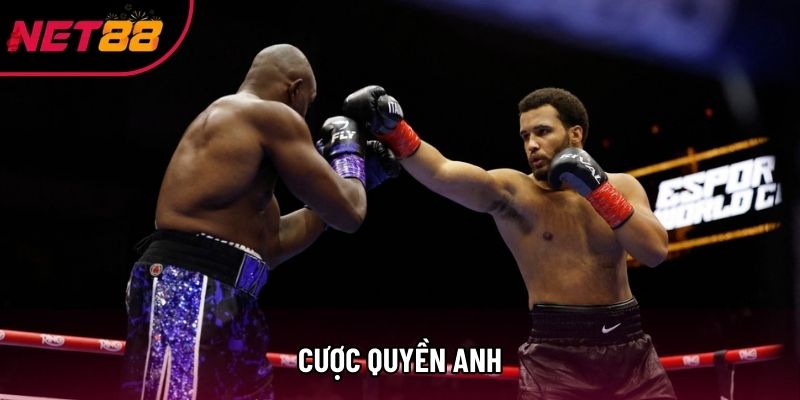 Cược Quyền Anh: Giải Mã Chiến Thuật Và Bí Quyết Làm Chủ Sàn Đấu