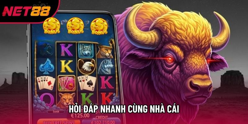 Hỏi đáp nhanh cùng nhà cái Hỏi đáp nhanh cùng nhà cái