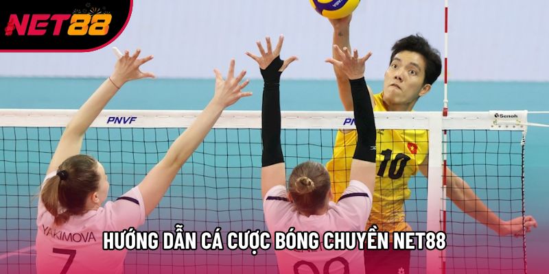 Hướng dẫn cá cược bóng chuyền Net88 Hướng dẫn cá cược bóng chuyền Net88