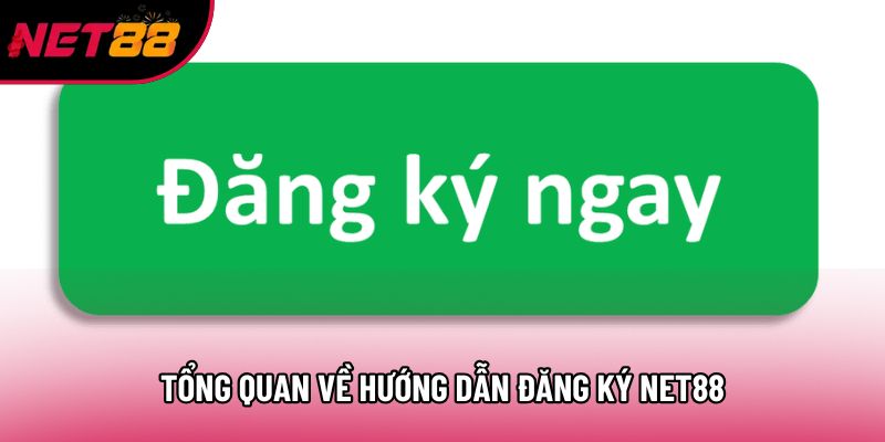 Tổng quan về hướng dẫn đăng ký Net88