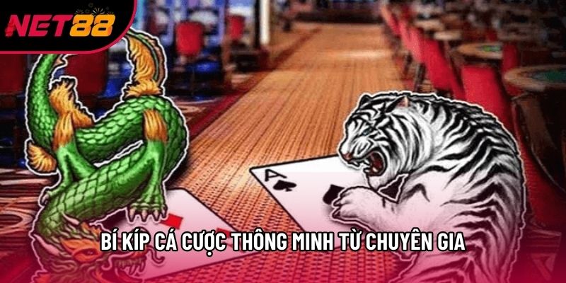 Bí kíp cá cược thông minh từ chuyên gia