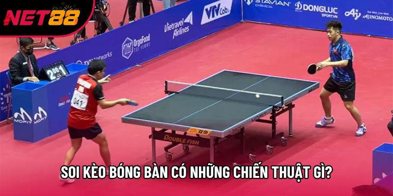 Soi kèo bóng bàn có những chiến thuật gì? Soi kèo bóng bàn có những chiến thuật gì?