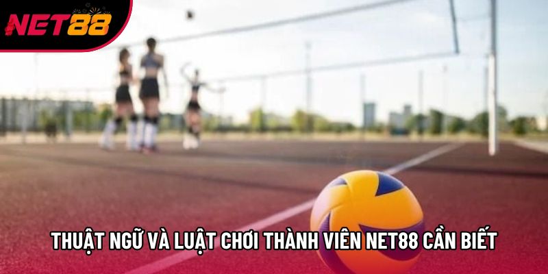 Thuật ngữ và luật chơi thành viên Net88 cần biết Thuật ngữ và luật chơi thành viên Net88 cần biết