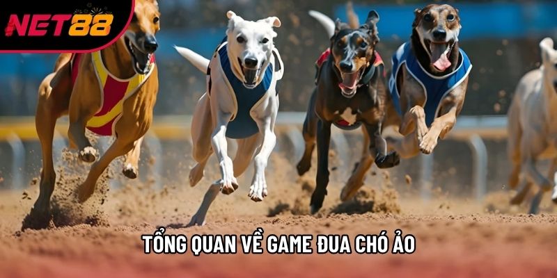 Tổng quan về game đua chó ảo Tổng quan về game đua chó ảo